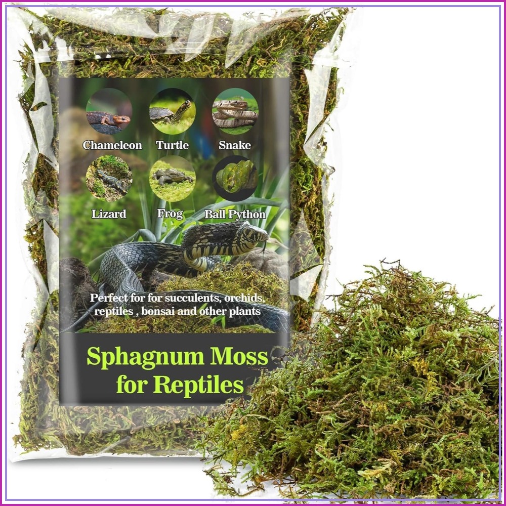 Sphagnum Moss Dry - Sphagnum Moss for Reptiles - Green