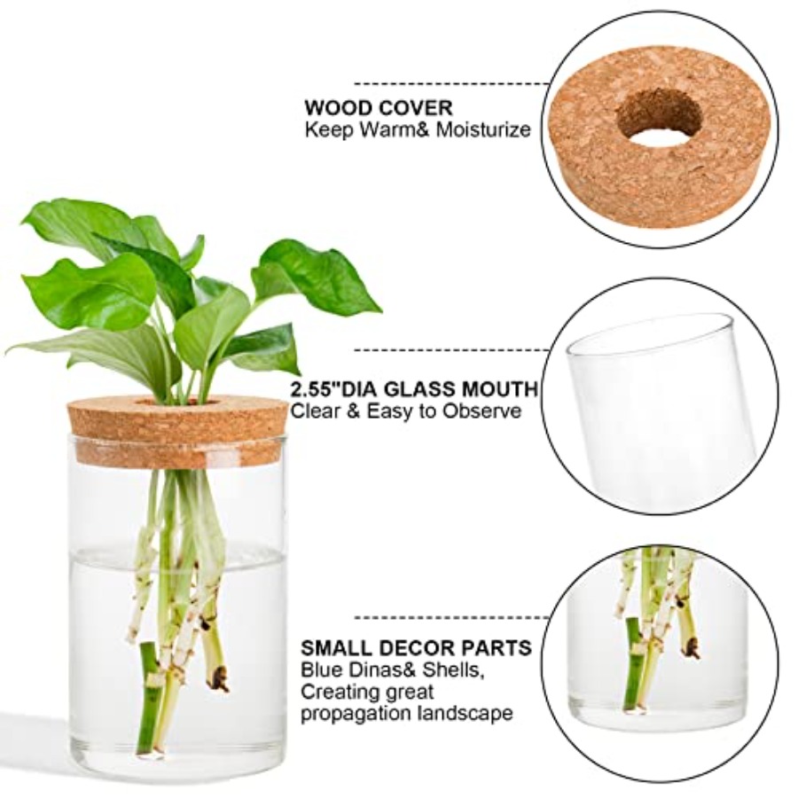 3 Pcs Plant Terrarium Propagat - огляд і ціна Propagation Station Vase