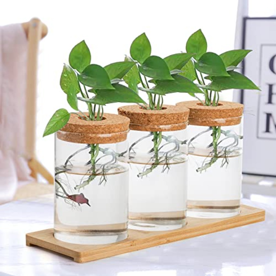 3 Pcs Plant Terrarium Propagat - огляд і ціна Propagation Station Vase
