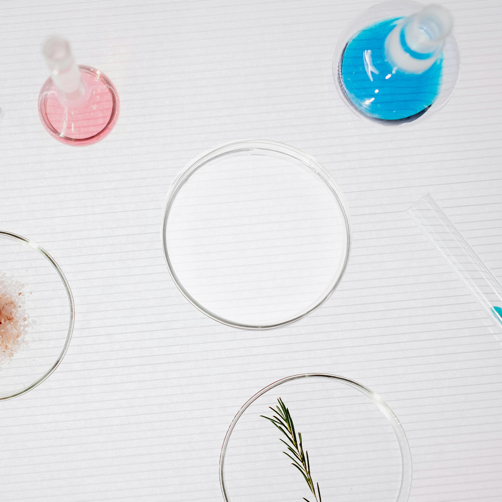 Glass Petri Dish Laboratory Fl - огляд і ціна Agar Tissue Culture