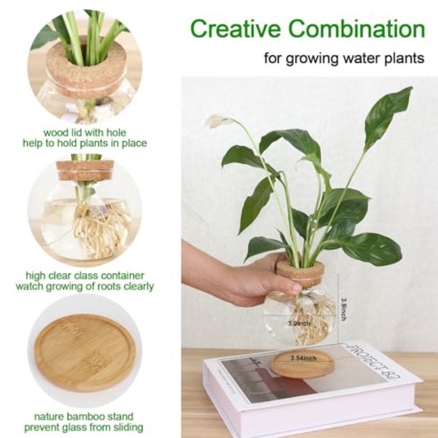 Plant Propagation Station, Hyd - огляд і ціна Propagation Station Vase