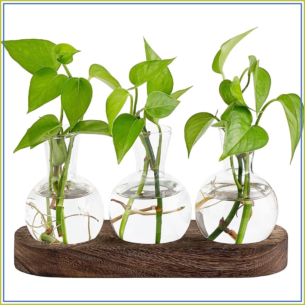 Desktop Plant Propagation Stat - огляд і ціна Propagation Station Vase