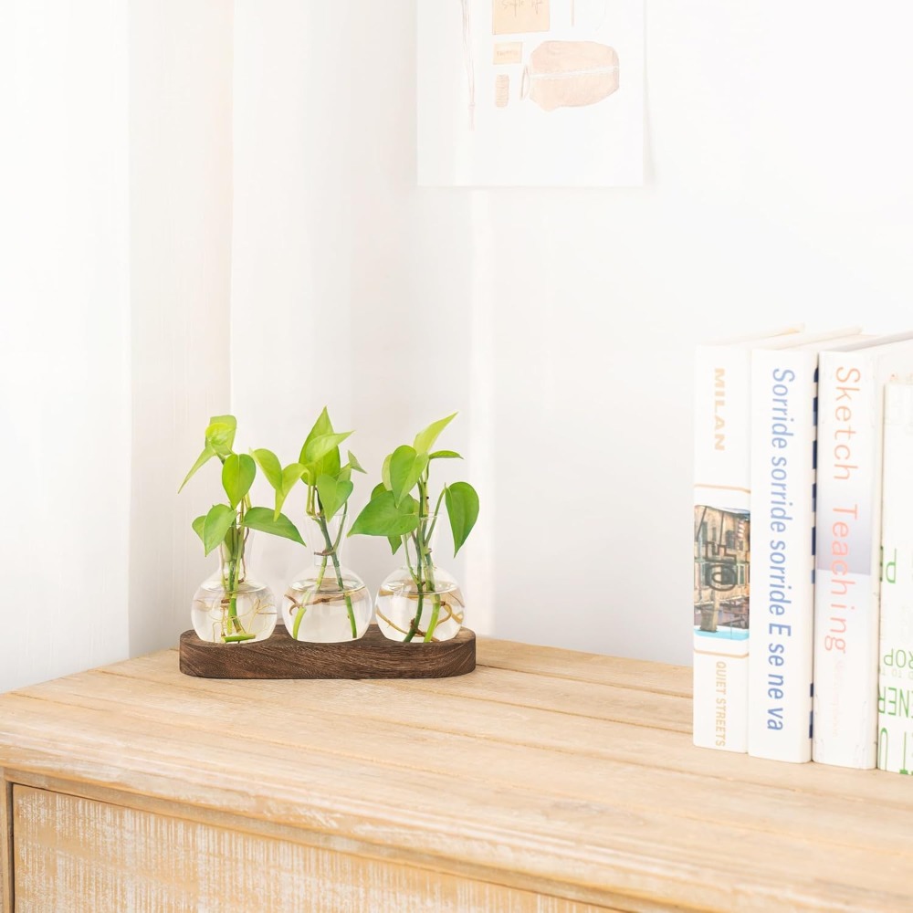 Desktop Plant Propagation Stat - огляд і ціна Propagation Station Vase