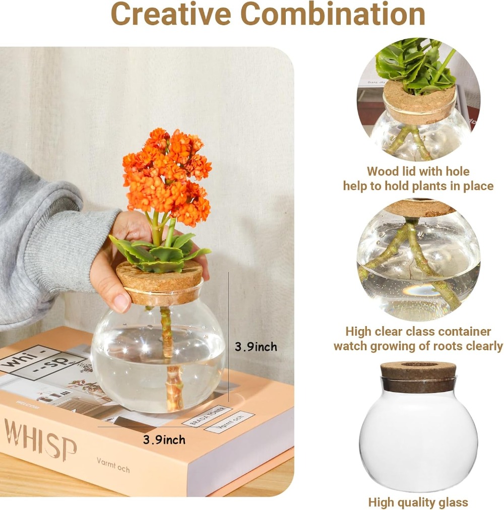 Hydroponic Plant Propagation S - огляд і ціна Propagation Station Vase