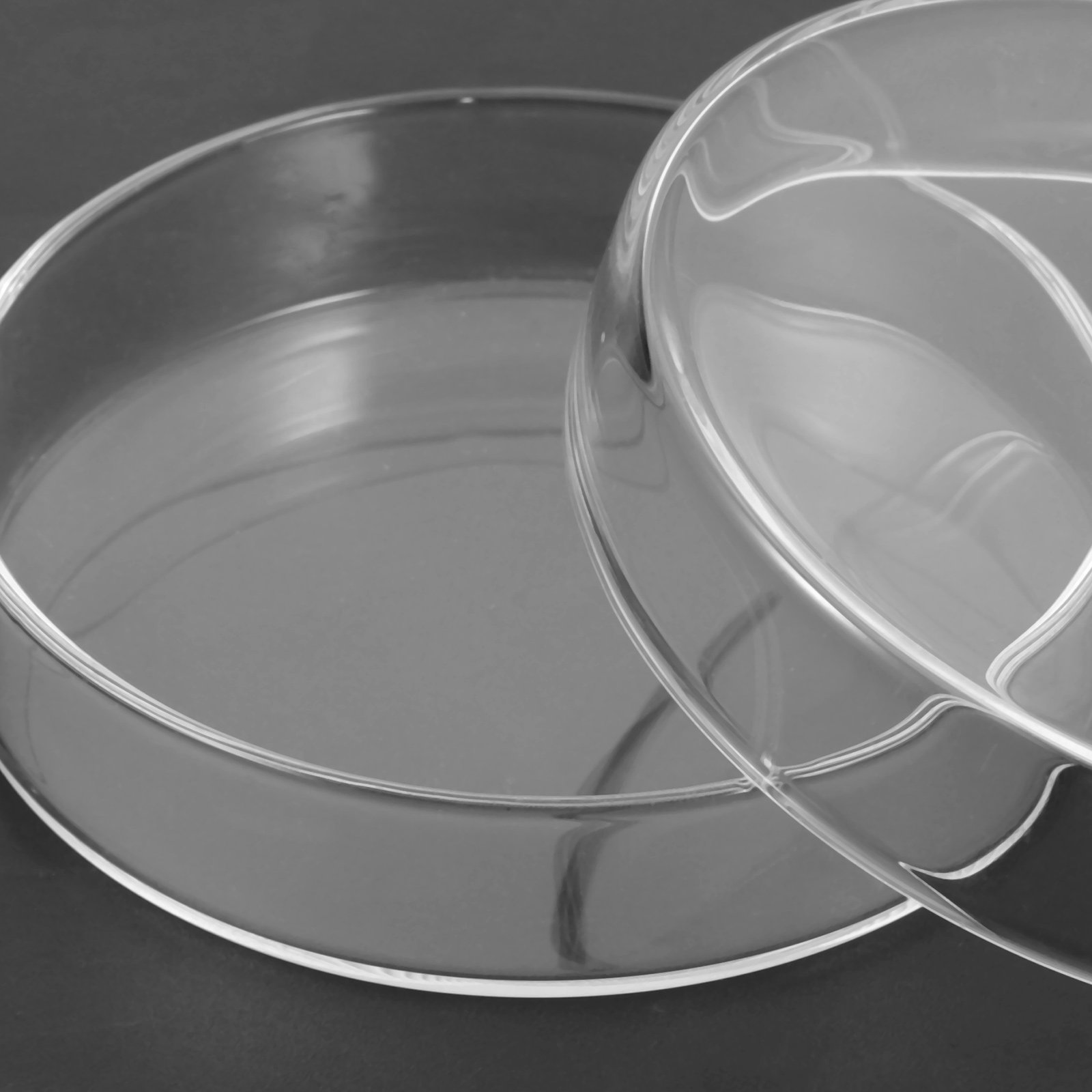 Glass Petri Dish High Borosili - огляд і ціна Agar Tissue Culture