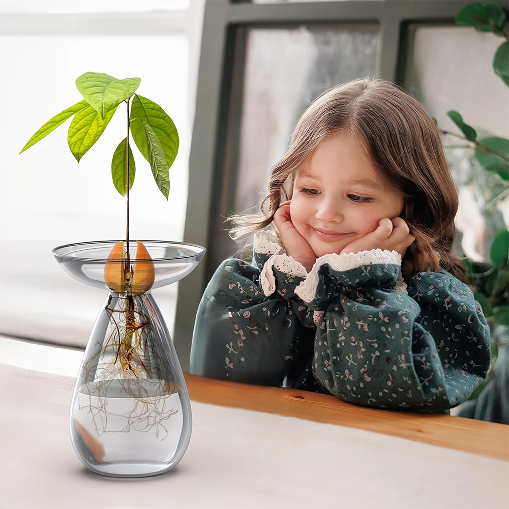Avocado Seed Starter Vase Tran - огляд і ціна Propagation Station Vase