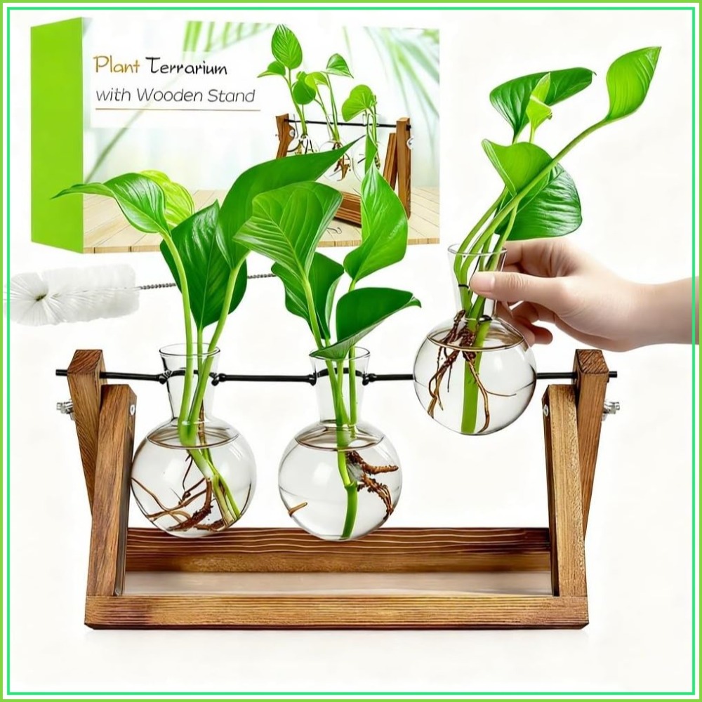 Plant Propagation Station with - огляд і ціна Propagation Station Vase