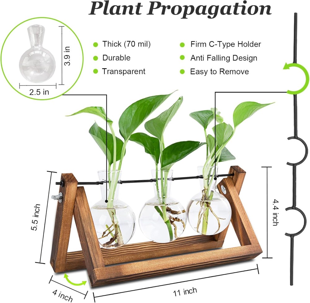 Plant Propagation Station with - огляд і ціна Propagation Station Vase
