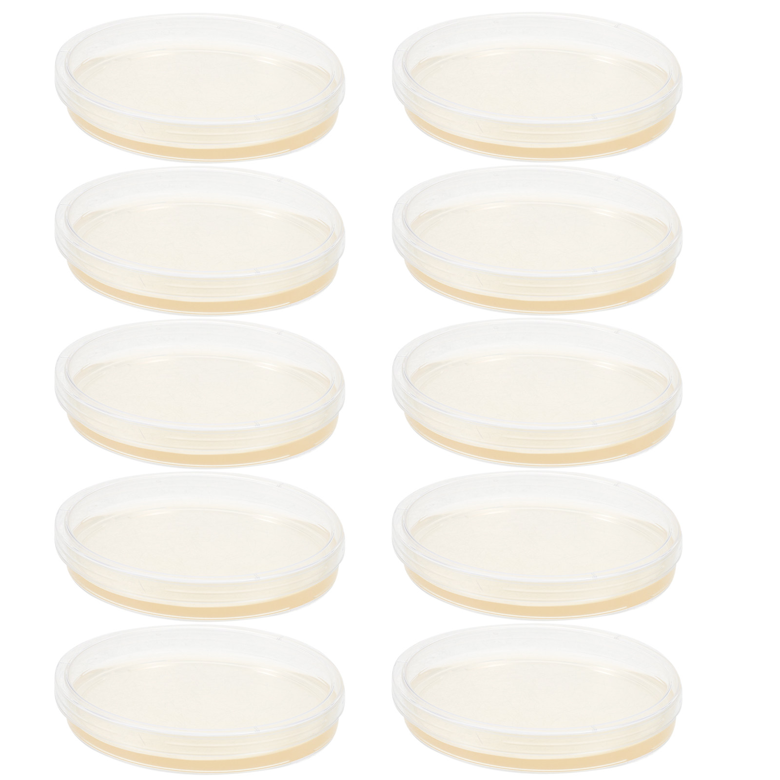 10Pcs Lb Agar Plates Portable  - огляд і ціна Agar Tissue Culture