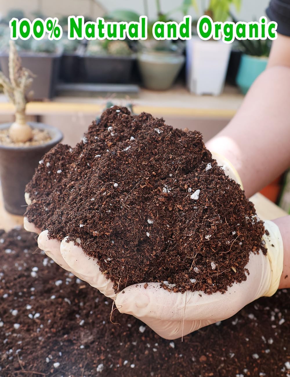Potting Soil for All Indoor Ho - огляд і ціна Coco Perlite Mix