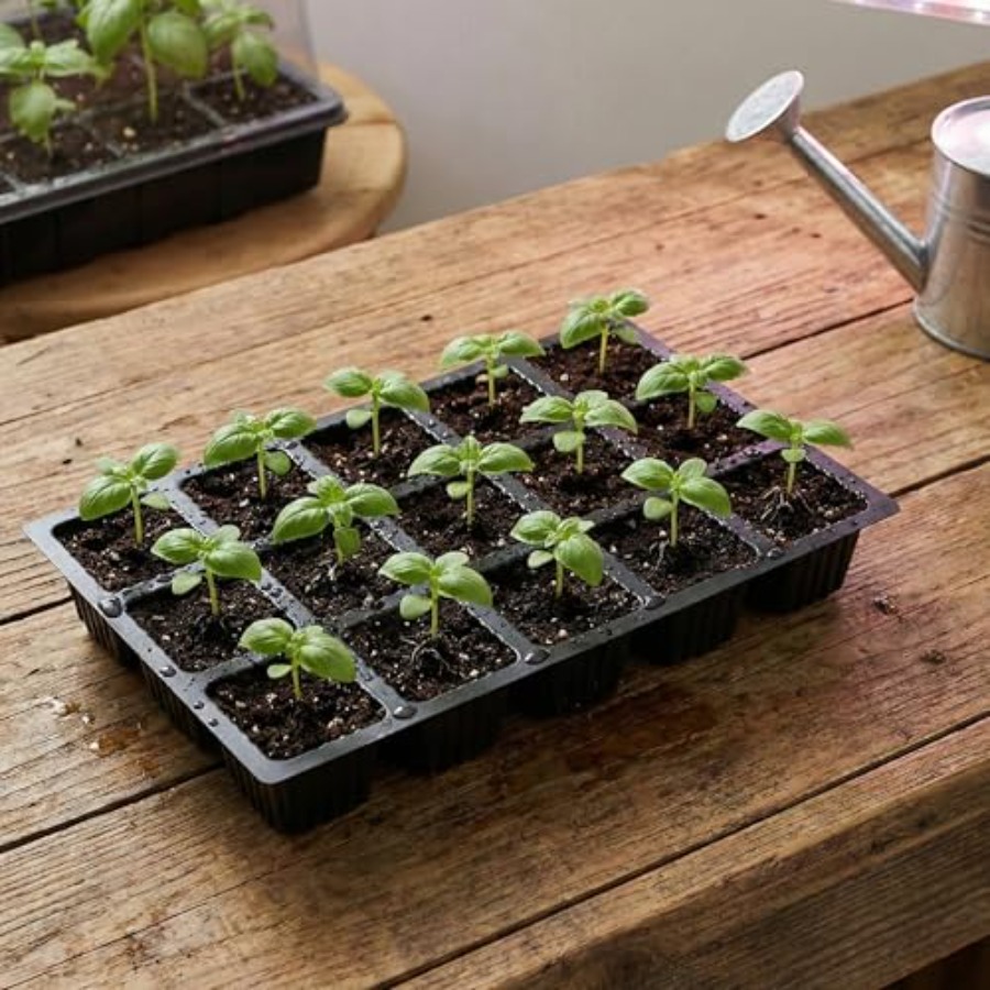5-Set Seed Starter Tray Kits D - огляд і ціна Humidity Dome Kit
