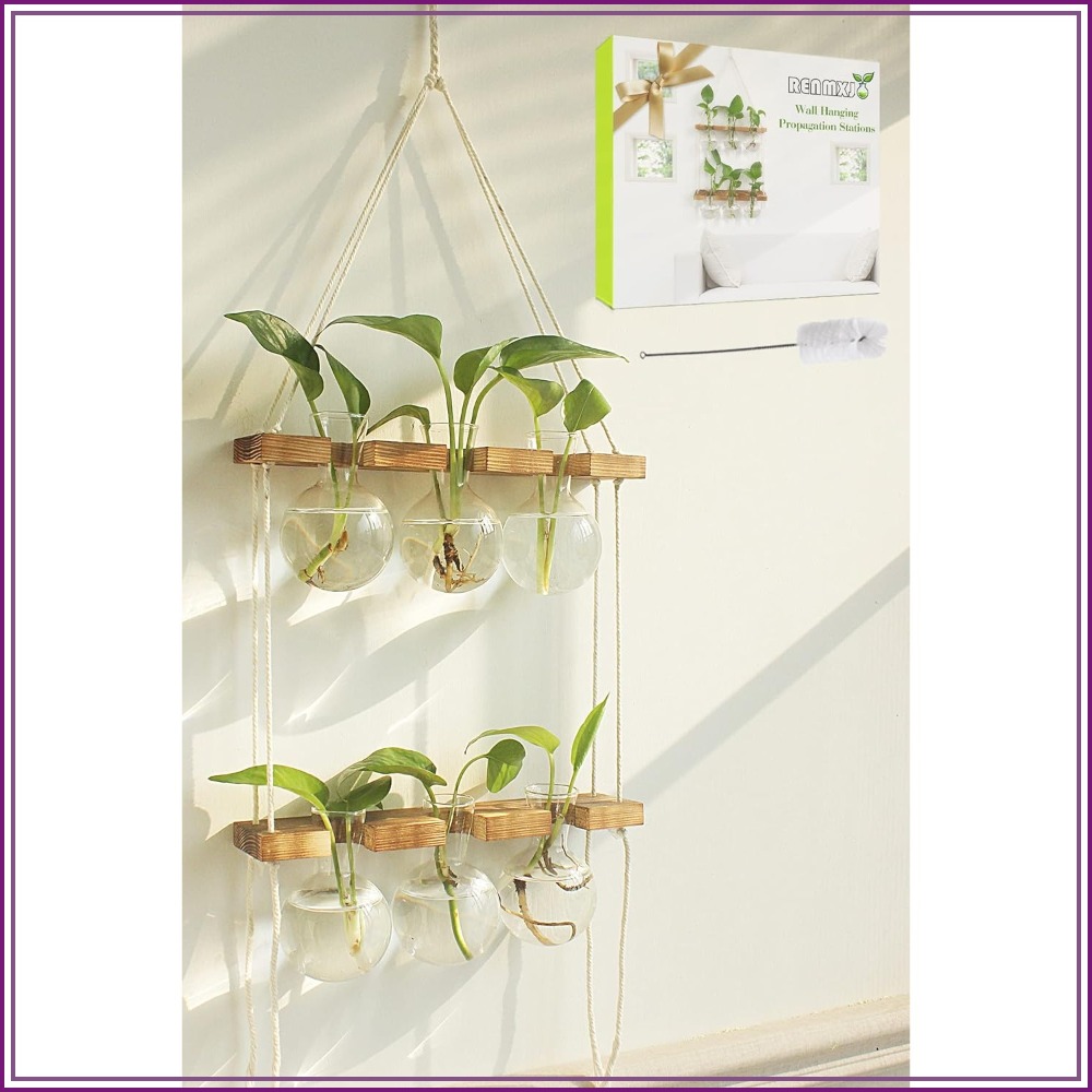 Wall Hanging Plant Propagation - огляд і ціна Propagation Station Vase
