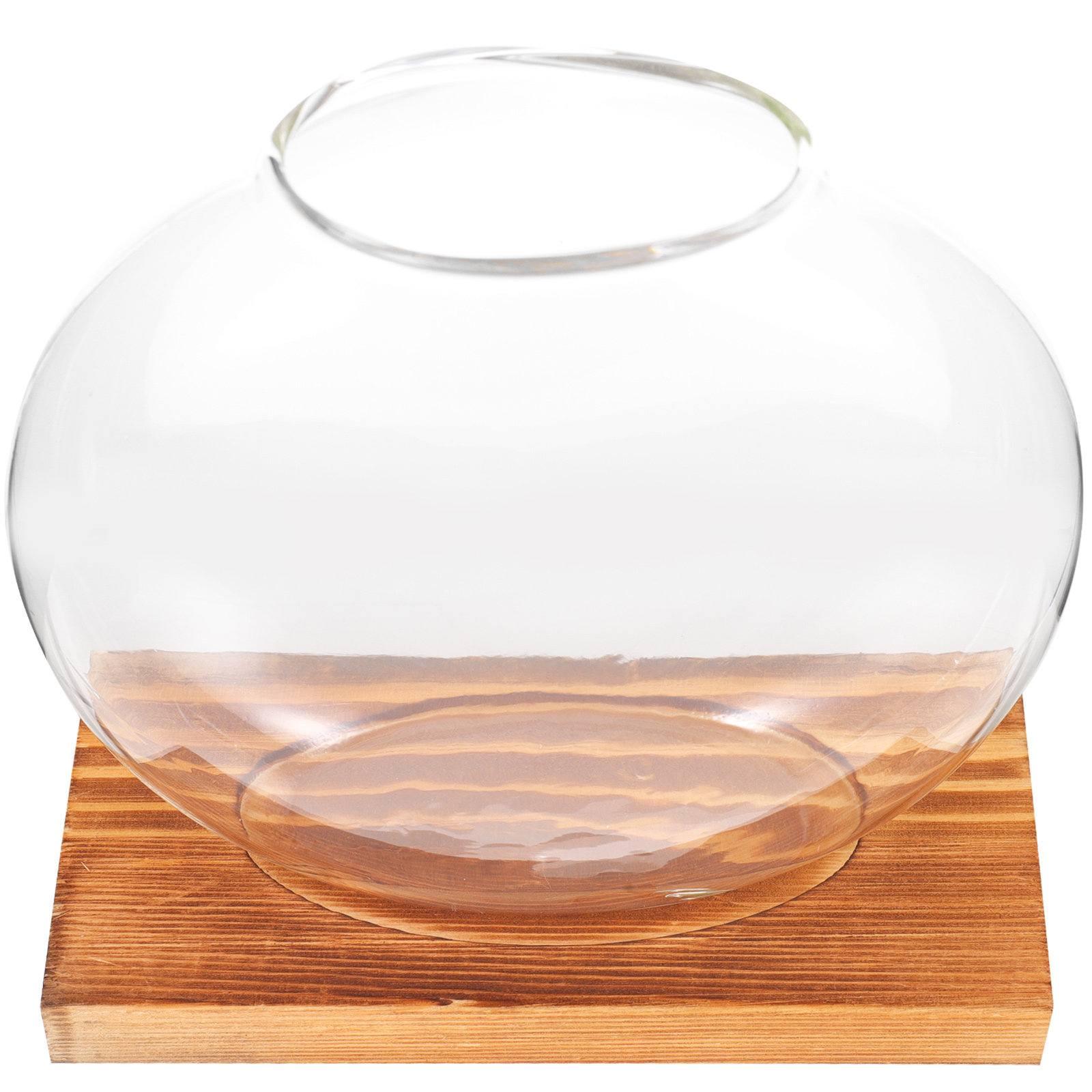 Glass Hydroponic Plant Vase wi - огляд і ціна Propagation Station Vase