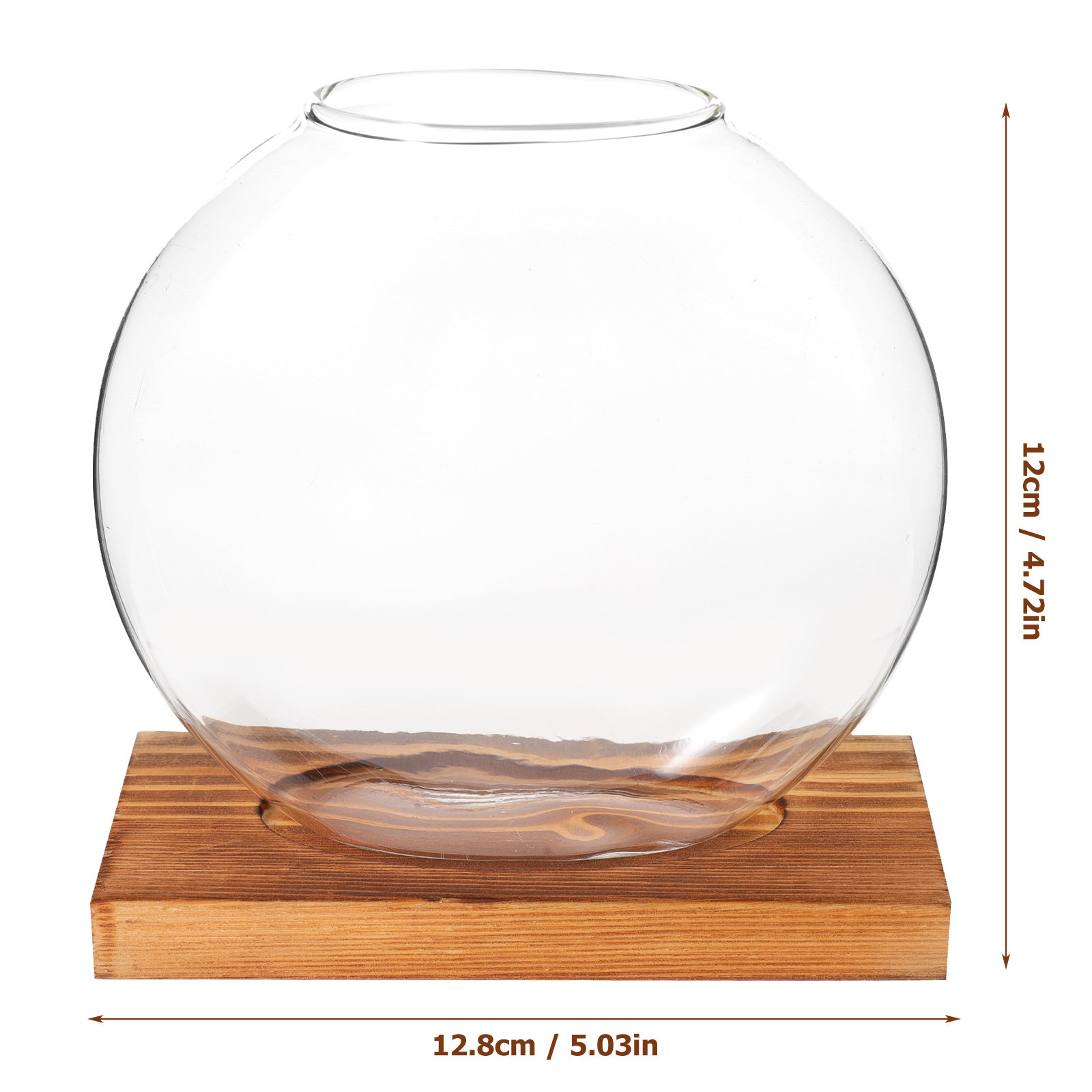 Glass Hydroponic Plant Vase wi - огляд і ціна Propagation Station Vase