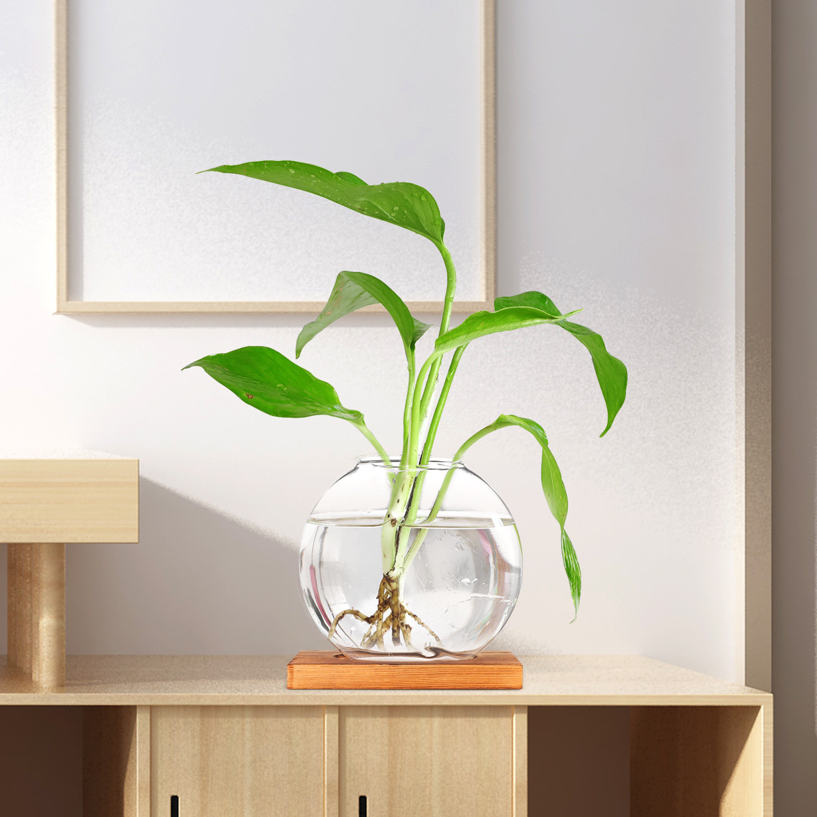 Glass Hydroponic Plant Vase wi - огляд і ціна Propagation Station Vase